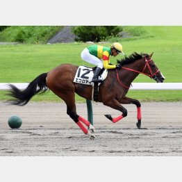 実績あるダート短距離で見直しを