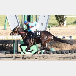 初茜賞で戸崎とは２戦２勝