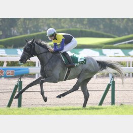 昨夏の小倉大賞典も関西馬マリアエレーナが制したが