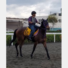 長距離輸送も無事クリア