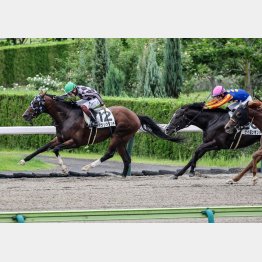 前走は鼻、首差の③着（右）