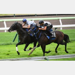 横山武は２週連続の騎乗で好感触を得た（内）