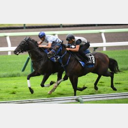 内から抜け出して半馬身先着