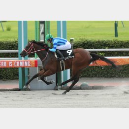 先週の雲仙特別を３馬身半差の快勝