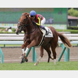 大物感十分の初勝利