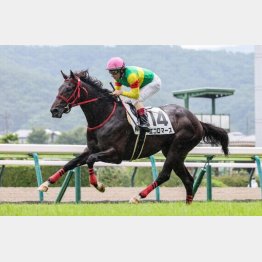 福島で新馬勝ち