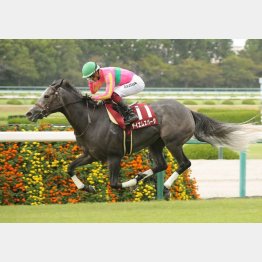 ①着テイエムスパーダ（富田騎手）「この馬の形の競馬ができれば、強いと思っていました」