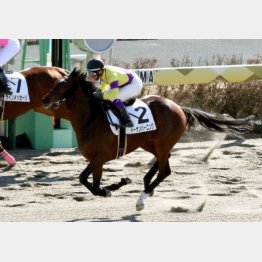 中山で初勝利