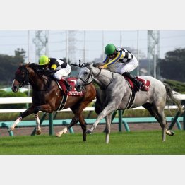 セントライト記念でのちの菊花賞馬に勝利