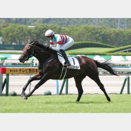 デビュー戦は②着に３馬身半差の快勝