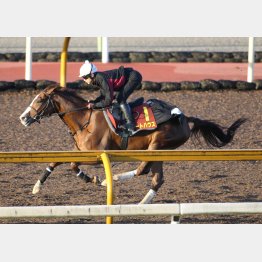 アートハウスは骨折明けの影響を感じさせない動き