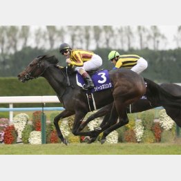 16年はクイーンズリング府中牝馬Ｓから連勝