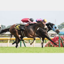 東京千四は２戦２勝と負け知らず