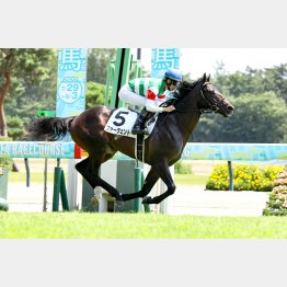 新馬戦はラスト流しての完勝