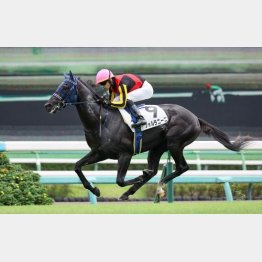 デビュー戦は３馬身半差