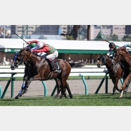 夏の札幌２連勝で気性の成長を感じ取れた