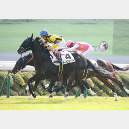 新馬戦は上がり33秒９で差し切り