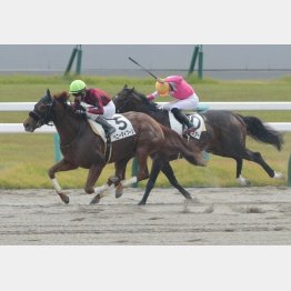 好内容で１勝クラスを卒業