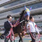 【東京新聞杯】阪神牝馬Ｓ勝ちの再現を サウンドビバーチェ一発あり