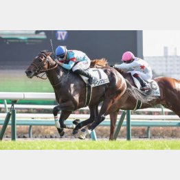 センス十分に新馬勝ち