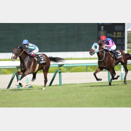 生田特別は②着に１馬身半差の快勝