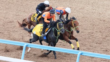 【福島牝馬Ｓ】前走の走りなら福島もＯＫ　シンリョクカ飛躍の年へ