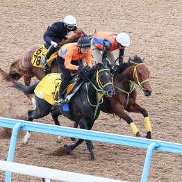 【福島牝馬Ｓ】前走の走りなら福島もＯＫ　シンリョクカ飛躍の年へ