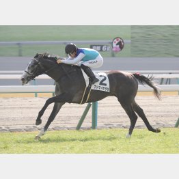 強い競馬で１勝クラスを制したアドマイヤテラ