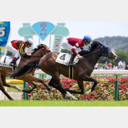 この新馬戦の時点でGⅠ馬が確定⁉