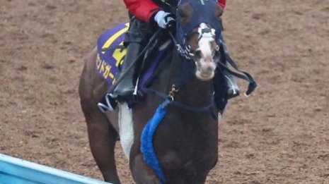 【ＮＨＫマイルＣ】◎アスコリピチェーノ　○ボンドガール　ダイワメジャー産駒の牝馬がワンツーです