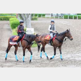 フィールシンパシーの鞍上には畠山助手