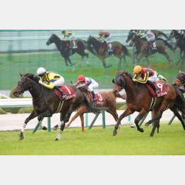 千六を連戦して阪神牝馬Ｓを制覇