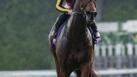 【オークス】桜花賞馬ステレンボッシュが牝馬３冠に王手をかけるか