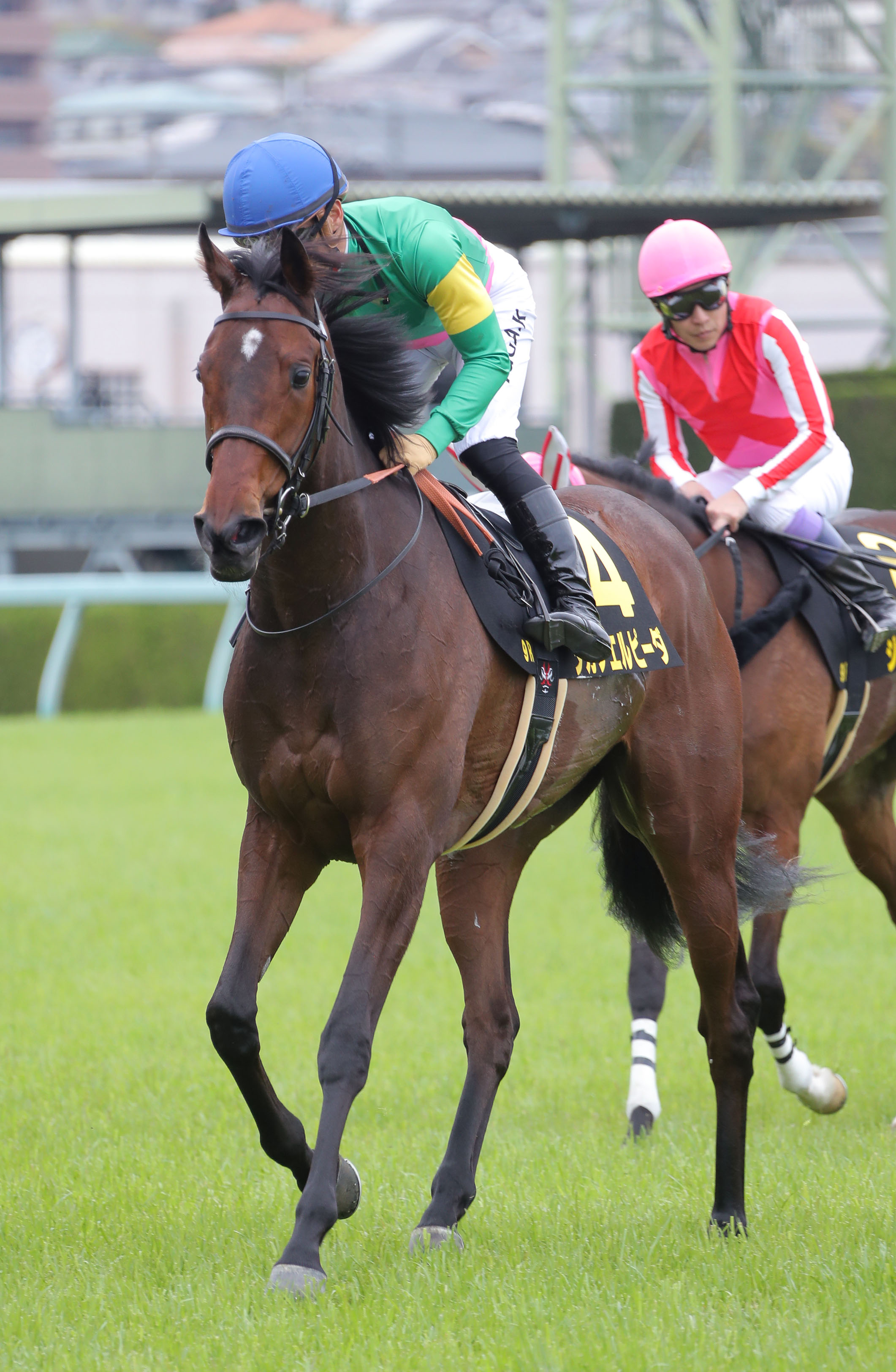 オークス】ミッキークイーン、ラヴズオンリーユーと樫Ｖの忘れな草賞勝ち馬 タガノエルピーダも魅力たっぷり | 日刊ゲンダイ競馬