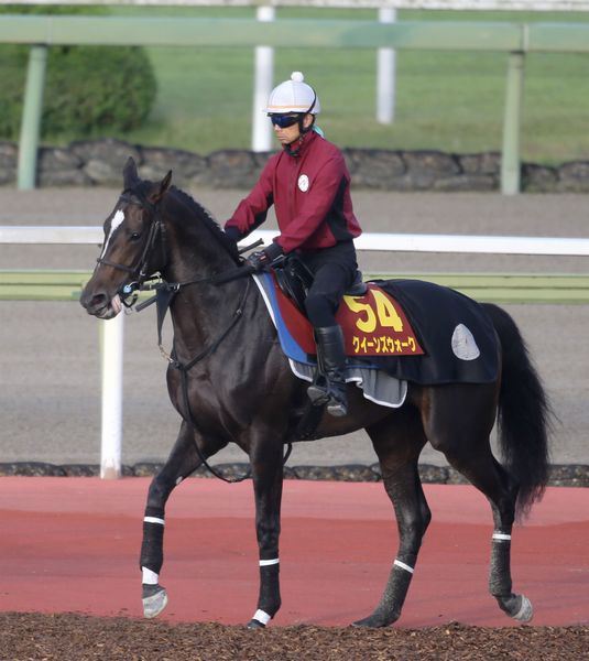 【オークス】出走全馬の特選情報 | 日刊ゲンダイ競馬