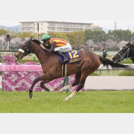 【東京本紙・外山のオークス】 | 日刊ゲンダイ競馬