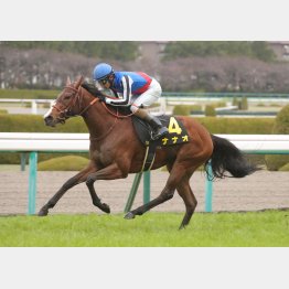 マーガレットＳは2馬身半差の快勝