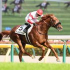 【日本ダービー】横山典がダービー最年長勝利　３歳牡馬の頂点はダノンデサイル