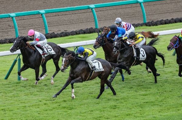 【東京本紙・外山の土曜東京９Ｒ】 | 日刊ゲンダイ競馬