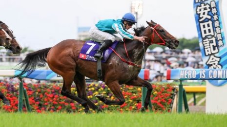 【安田記念】香港馬ロマンチックウォリアーが日本を制圧