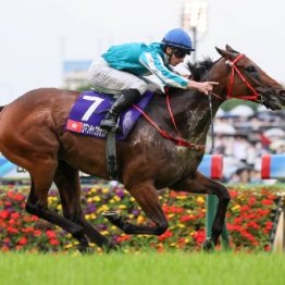 【安田記念】香港馬ロマンチックウォリアーが日本を制圧