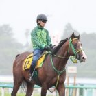 【函館スプリントＳ】アサカラキング勝って大舞台へ