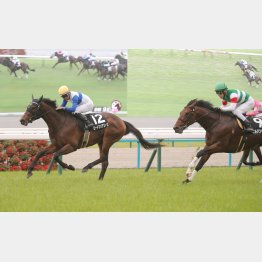 ２勝クラスを制した３歳馬は祇園特別のロードフォアエースだけ