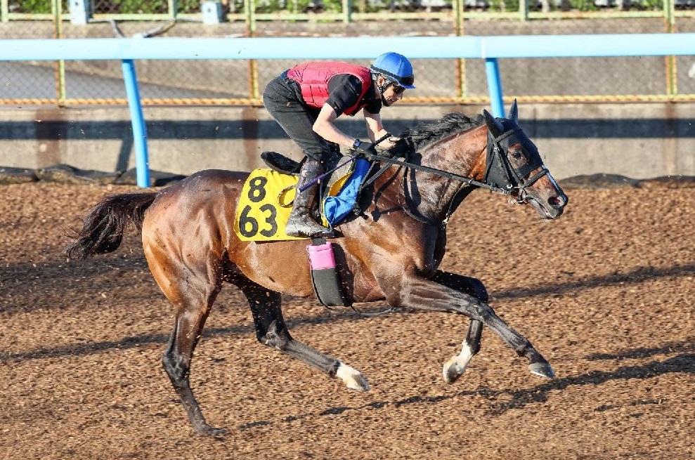 【マリナの日曜競馬コラム・エプソムＣ】｜マリナ くノ一的中術