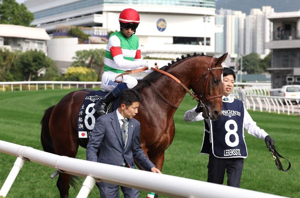 【市川の日曜競馬コラム・エプソムＣ】｜市川が人気馬を斬る