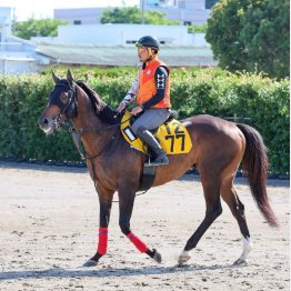 【飯島の日曜競馬コラム・エプソムＣ】｜飯島の１日１鞍