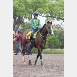 【函館本紙・木津の函館スプリントＳ】 | 日刊ゲンダイ競馬