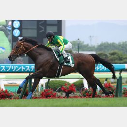 【函館スプリントＳ】レース後の談話 | 日刊ゲンダイ競馬