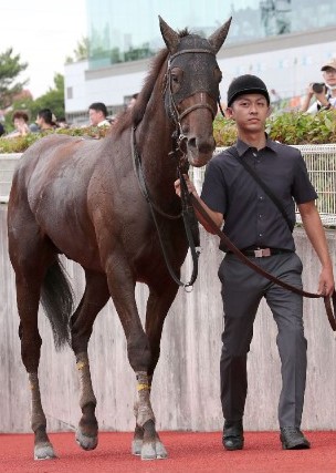 【米子Ｓ】アスクコンナモンダ、今度こそ | 日刊ゲンダイ競馬