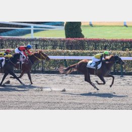 好タイムで新馬勝ち